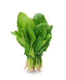 Spinach