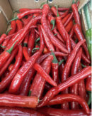 Hot Chilli Peppers