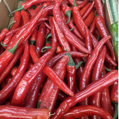 Hot Chilli Peppers