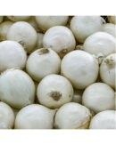 Onions