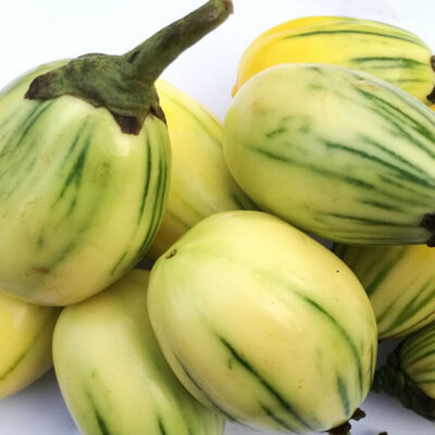 Garden Eggs