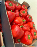 Bell Pepper
