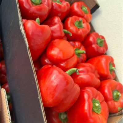 Bell Pepper