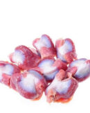 Chicken Gizzard