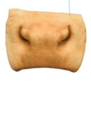 Cow Snout