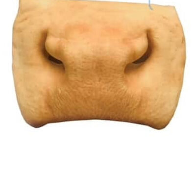 Cow Snout