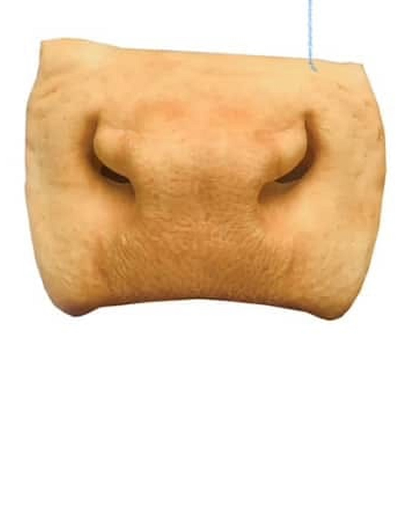 Cow Snout
