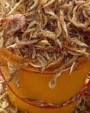 Cray Fish