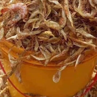 Cray Fish