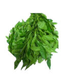 Fresh Ewedu Leaf