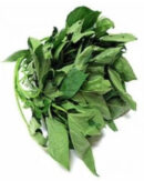 Fresh Oha Leaf