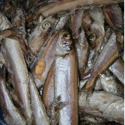 Fresh Nigeria Panla (Whiting Fish)