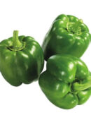 Green Bell Pepper