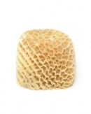 Honeycomb Shaki
