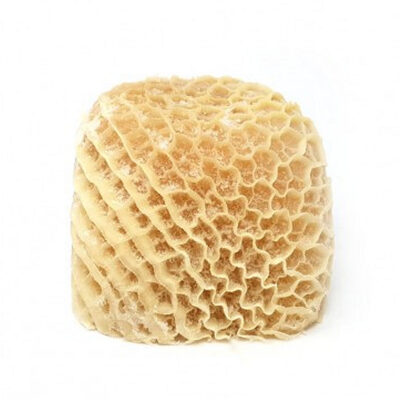 Honeycomb Shaki