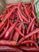 Hot Chilli peppers