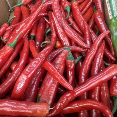 Hot Chilli peppers
