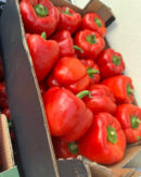 Red Cap/Bell Pepper