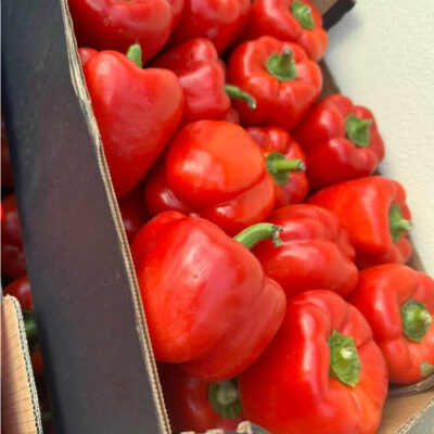 Red Cap/Bell Pepper