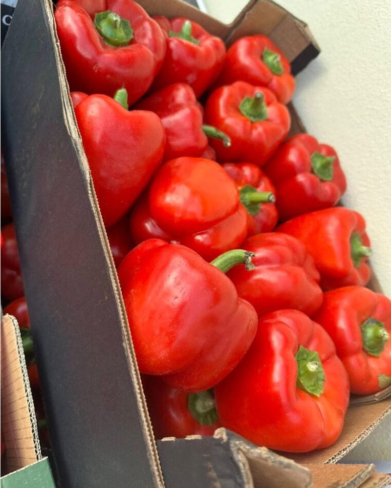 Red Cap/Bell Pepper