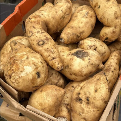 Sweet Potato