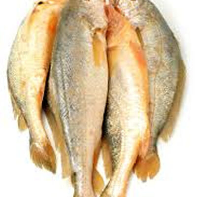 Yellow Croaker Fish
