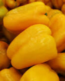 Yellow Pepper 5kg
