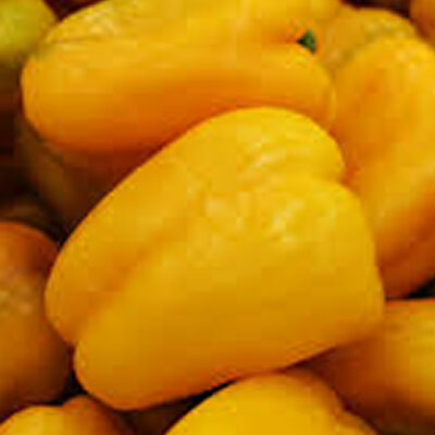 Yellow Pepper 5kg