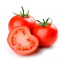 Fresh Tomatoes